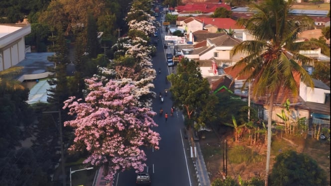 Magelang, terkenal sebagai Kota Sejuta Bunga.