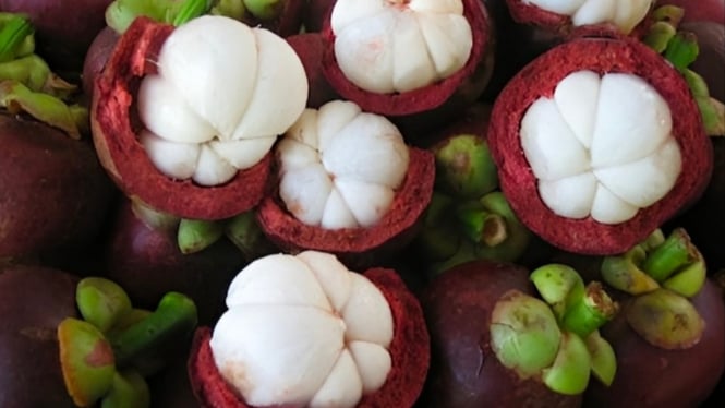 Buah manggis yang kaya nutrisi.