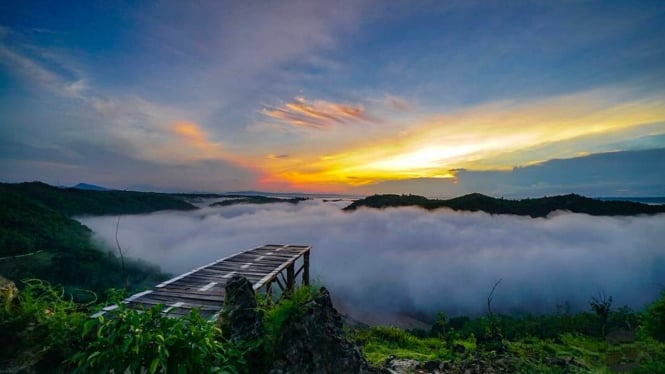 Panorama di Pinus Mangunan, Yogyakarta.