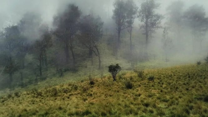 Kawasan Gunung Lawu Karanganyar.