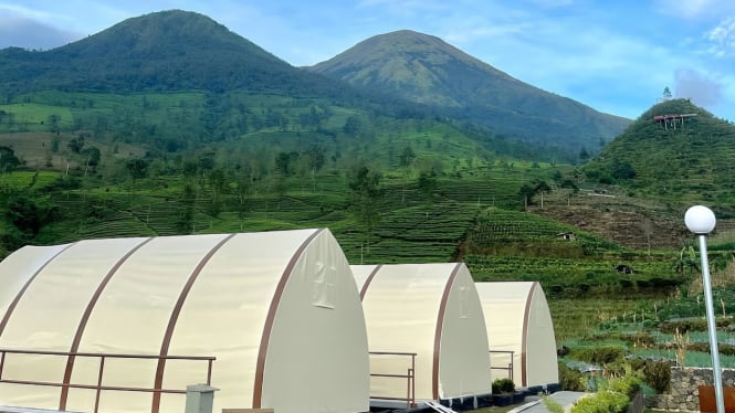 Glamping di kaki Gunung Kembang Wonosobo.
