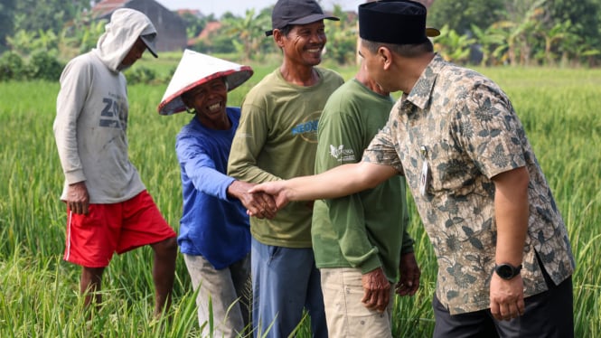 Petani korban banjir di Grobogan dapat bantuan benih padi.