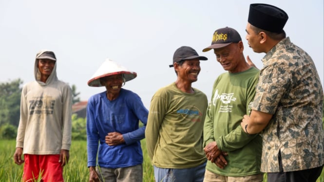 Petani tertawa bersama Tak Yasin karena harga gabah bagus.