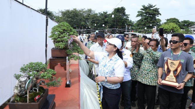 Kota Semarang akan membuat Akademi Bonsai.