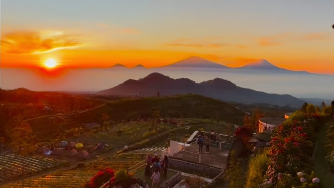Silancur Highland Kaliangkrik, Magelang.