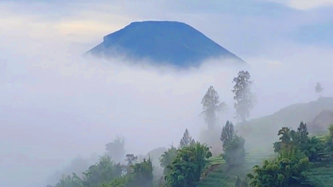 Dieng akan lebih dingin di bulan Juli ini.