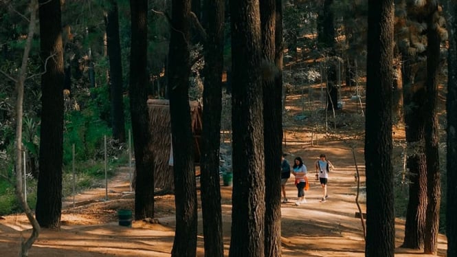 Pinusia Park Ungaran, Kabupaten Semarang.