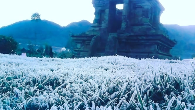 Saatnya melihat embun es di padang rumput Dieng.