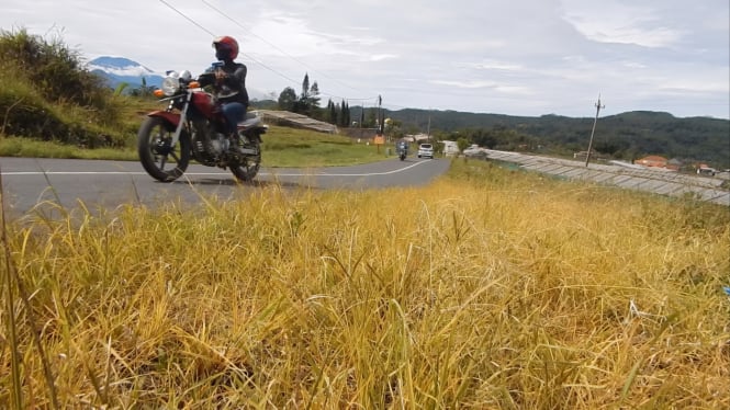 Jalur wisata alternatif Semarang-Temanggung yang sangat indah.