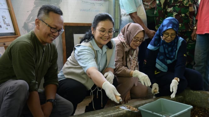Wali Kota Semarang, Agustina panen maggot di Banyumanik.