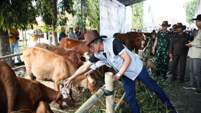 Jateng mulai kick off vaksinasi PMK.