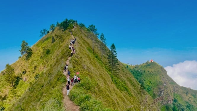 Jalur pendakian Gunung Andong.