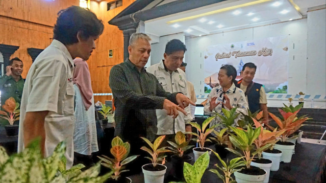 Kadis Pertanian dan Peternakan Prov Jateng Bersama Ketua ASA Semarang Raya Di Kontes Aglaonema, Salatiga(28/6/2026).