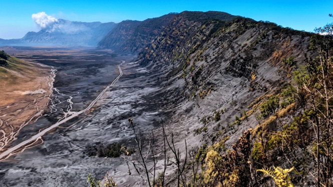 Kondisi kawasan Gunung Bromo yang terbakar dan ditutup total.