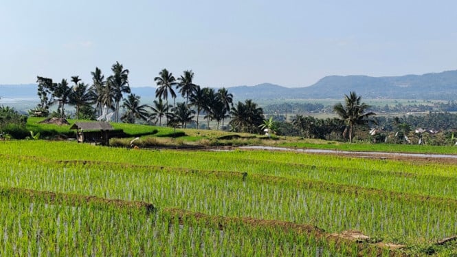 Suasana Desa Gedong dekat Salatiga yang mirip dengan Ubud Bali
