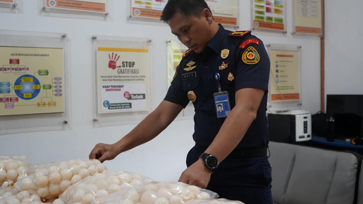 KKP Gagalkan Penyelundupan 5.400 Telur Penyu di Kalbar