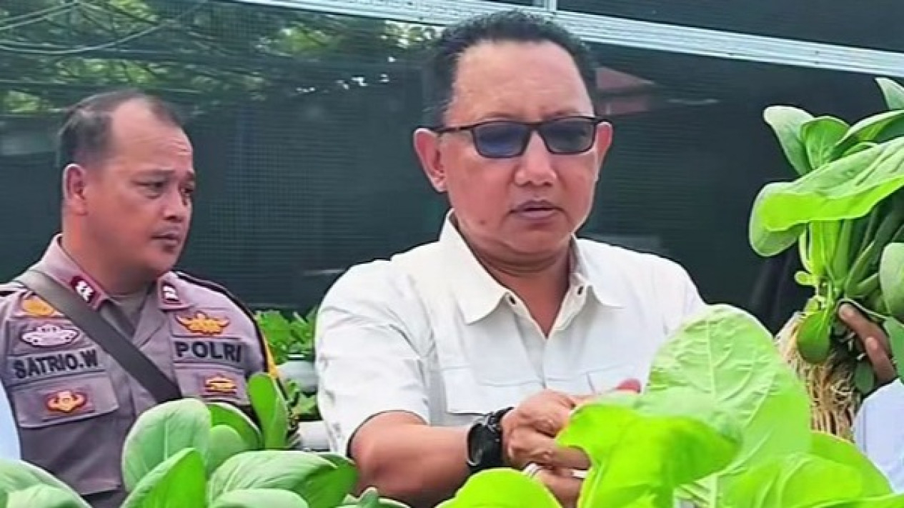 Kepala Lapas Surabaya Sohibur Rachman saat panen sayuran