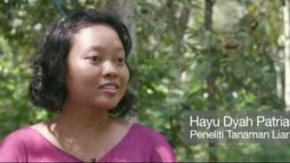 Hayu Dyah Patria, penerima SATU Indonesia Awards 2011 Hayu Dyah Patria, penerima SATU Indonesia Awards 2011