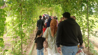 Agrowisata SAE Lapas Nunukan dipadati wisatawan