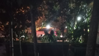Penampakan Taman Digulis Untan Pontianak Diduga Jadi Ajang Bercinta?