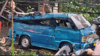 Angkot Ringsek Tertimpa Pohon di Pondok Labu
