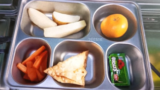 Orang Tua Siswa Ngeluh Potongan Kentang, Wortel dan Pangsit Goreng Jadi Menu MBG Siswa SD
