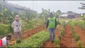 Wakil Ketua DPRD Depok Sebut Hasil Tanaman Pangan di Sukatani Bisa Masuk Dapur MBG