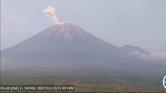 Status Waspada! Letusan Gunung Semeru Makin Intens, Kolom Abu Capai 700 Meter dari Puncak