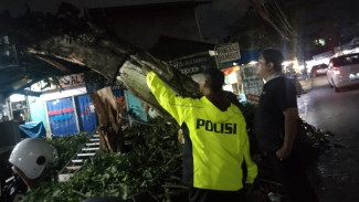 Gerak Cepat Polsek Pesanggrahan Tangani Pohon Tumbang di Sejumlah Titik