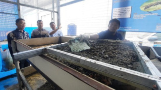 Budidaya Maggot, Inovasi Rutan Depok Sulap Sampah Jadi Berkah