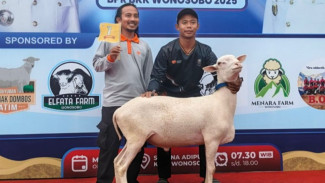 Rumah Zakat Distribusikan Bantuan pada 57 Ribu Penerima Manfaat Program Pemberdayaan