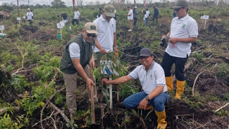 BPDAS Kapuas Tanam 400 Pohon di Hari Menanam Pohon Indonesia