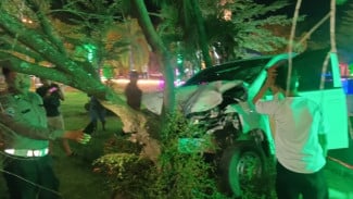 Asyik Main HP Sopir Mobil Pick Up Seruduk Pohon, Sejumlah Penumpang Terluka