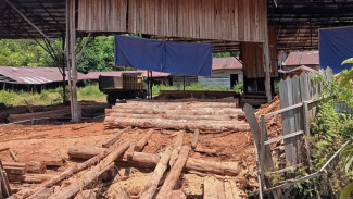 Membongkar 6 Sawmil Diduga Mengolah Kayu ''Ilegal Logging'' di Jalan Pundi Kubu Raya