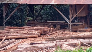 LSM Minta Polda Kalbar dan DLHK Tertibkan Sawmil di Ambawang