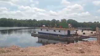 Menilik Dermaga Tersus PT Ichiko Agro Lestari Diduga di Area Mangrove