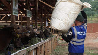 Flash Sale Qurban 2026, Jurus Jitu Human Initiative Perluas Jangkauan Manfaat hingga Afrika