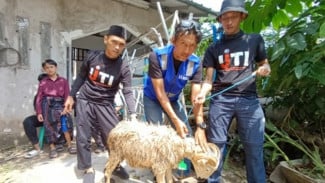IJTI dan Human Initiative Sebar Kurban untuk Warga Depok
