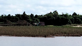 PETI Menggila di Boyan Tanjung Kalbar, APH Tutup Mata?