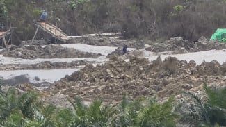 PETI Marak di Kalbar, LSM Minta BAIS dan BIN Selidiki Pemodal dan Tangkap Cukong