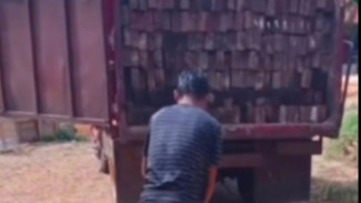 Heboh Truk Bermuatan Kayu Belian Terguling di Sandai Kalimantan Barat
