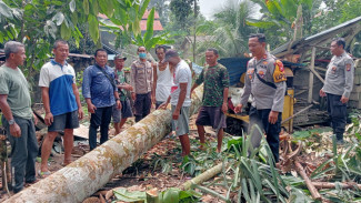 4 Rumah Roboh Diterjang Angin Kencang di Landak Kalimantan Barat
