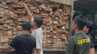 Ditjen Gakkum Sita Kayu Diduga Ilegal, Satu Pelaku Ditangkap