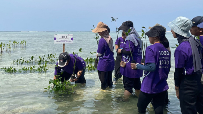 Siasat mengurangi polusi udara