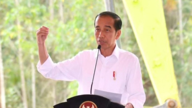 Potret Presiden Joko Widodo (Jokowi)