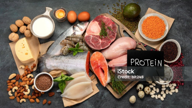 Ilustrasi protein hewani.