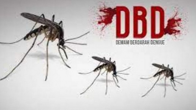 Ilustrasi kasus DBD di Kota Depok