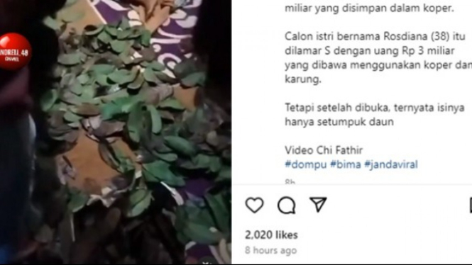 Heboh kakek kasih mahar janda di NTB isinya daun