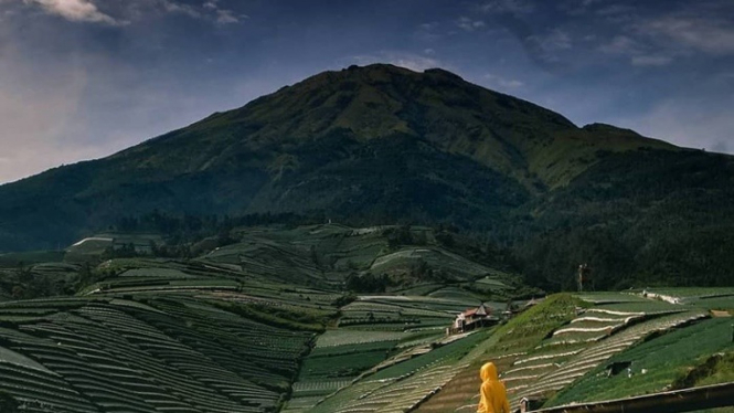 Terasering Sitegong, Magelang.