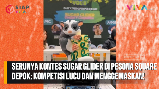 Serunya Kontes Sugar Glider di Pesona Square